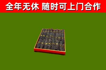 饶河县回收海参